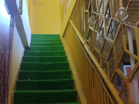 Lối Vào Lầu 1 Quán